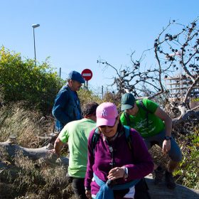 Un grupo de personas al aire libre, posiblemente en una caminata,