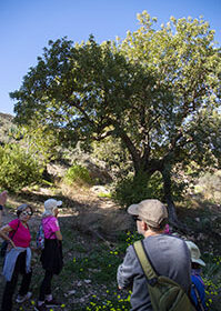 II ruta molineta 4