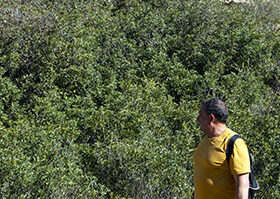 II ruta molineta 8