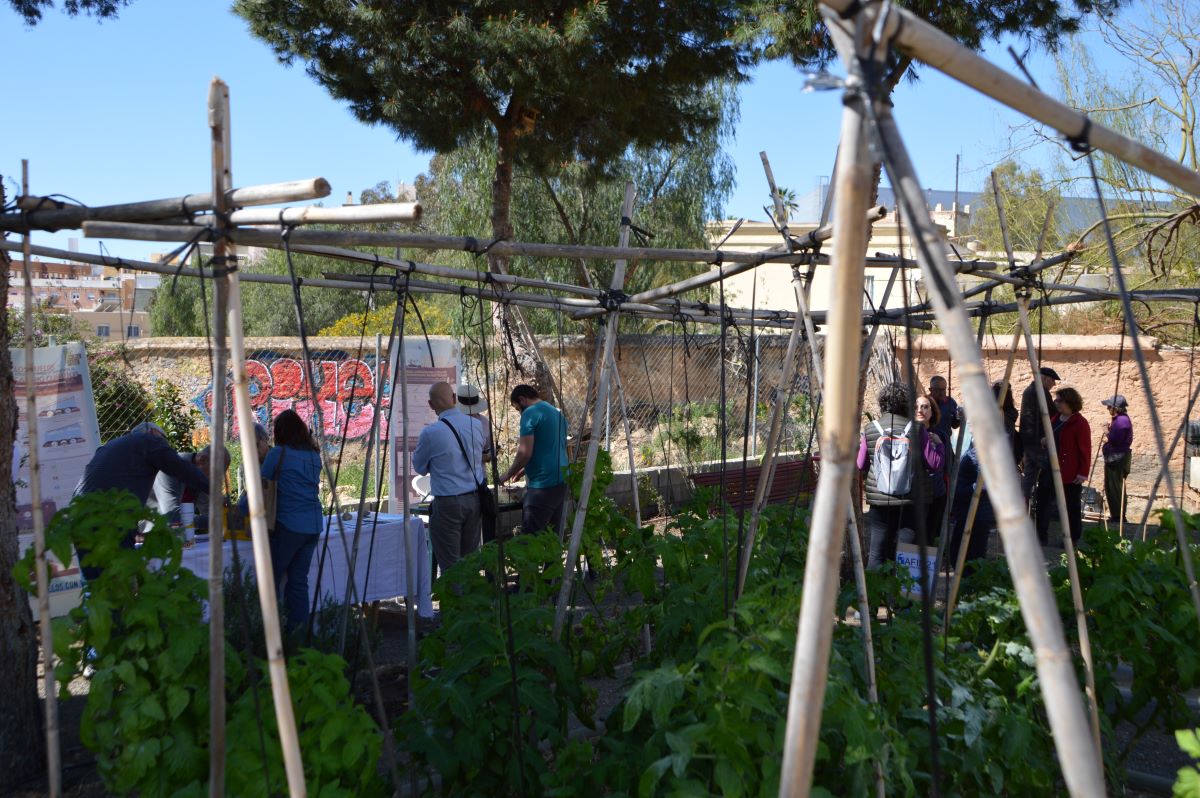 IV jornada de puertas abiertas huerto 16