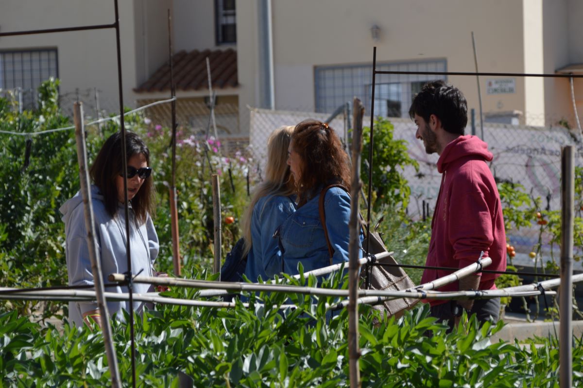 IV jornada de puertas abiertas huerto 6